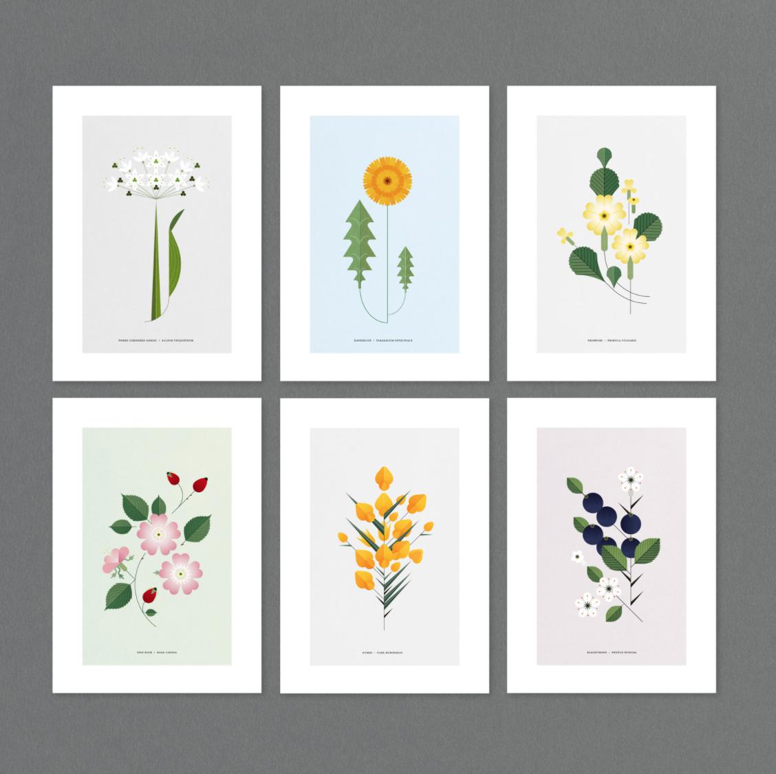 Prints by Sally Caulwell