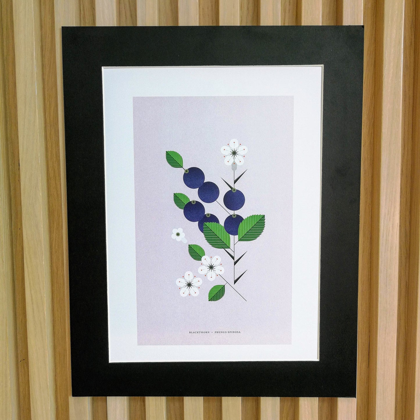 Sally Caulwell Blackthorn Print