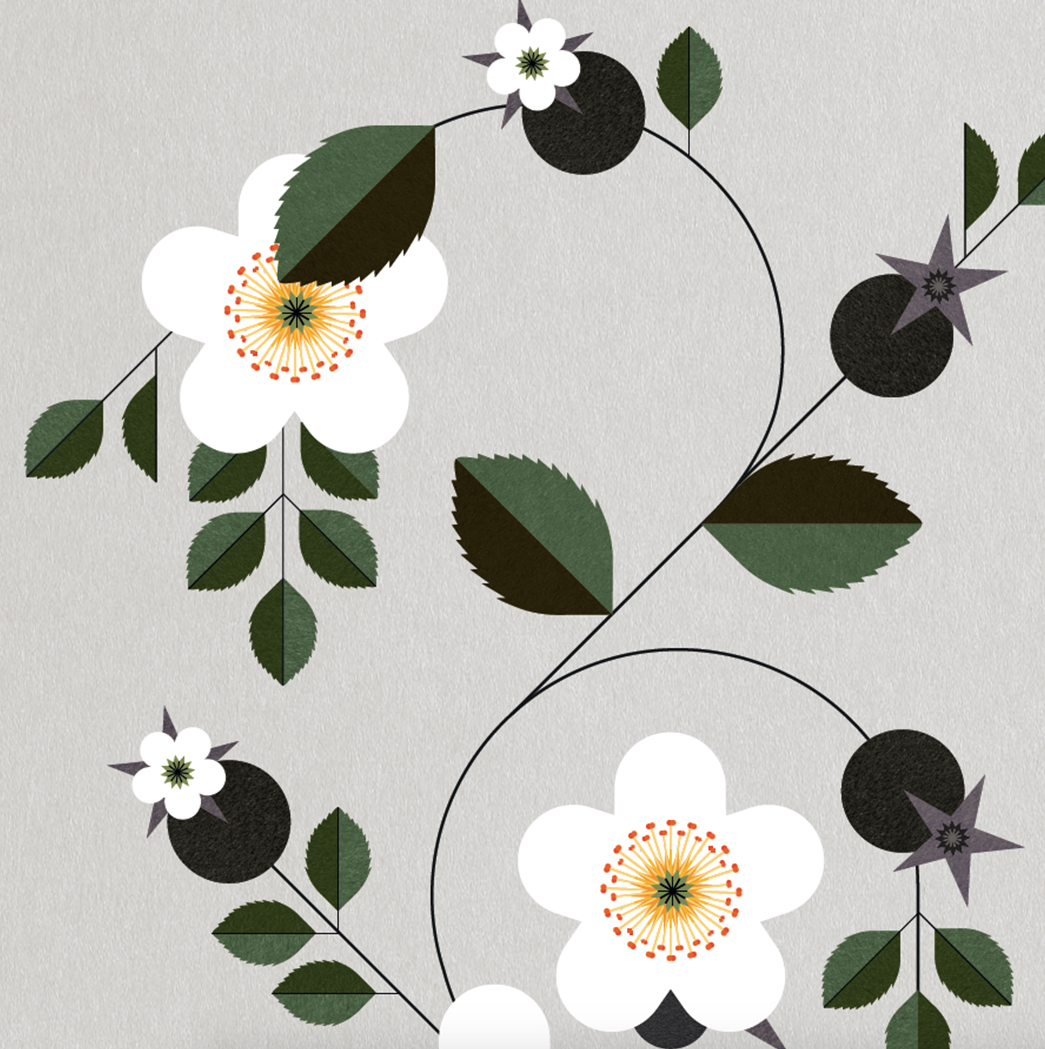 A4 Burnett Rose Print