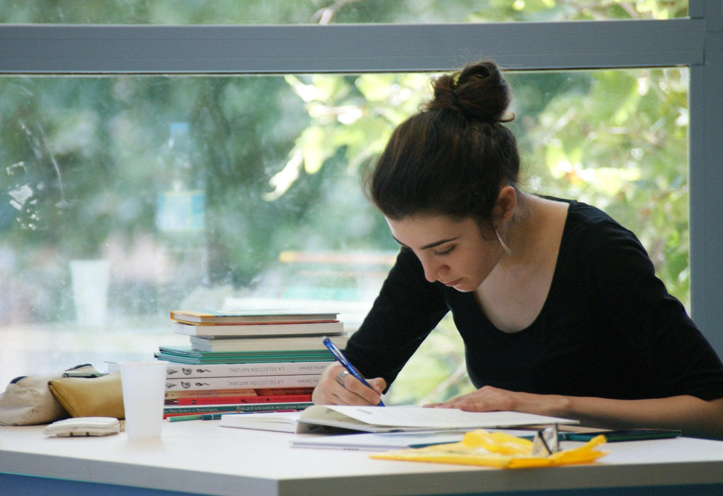 Red Winged Bird A4 Print - Drumgreenagh Craft & Design Store