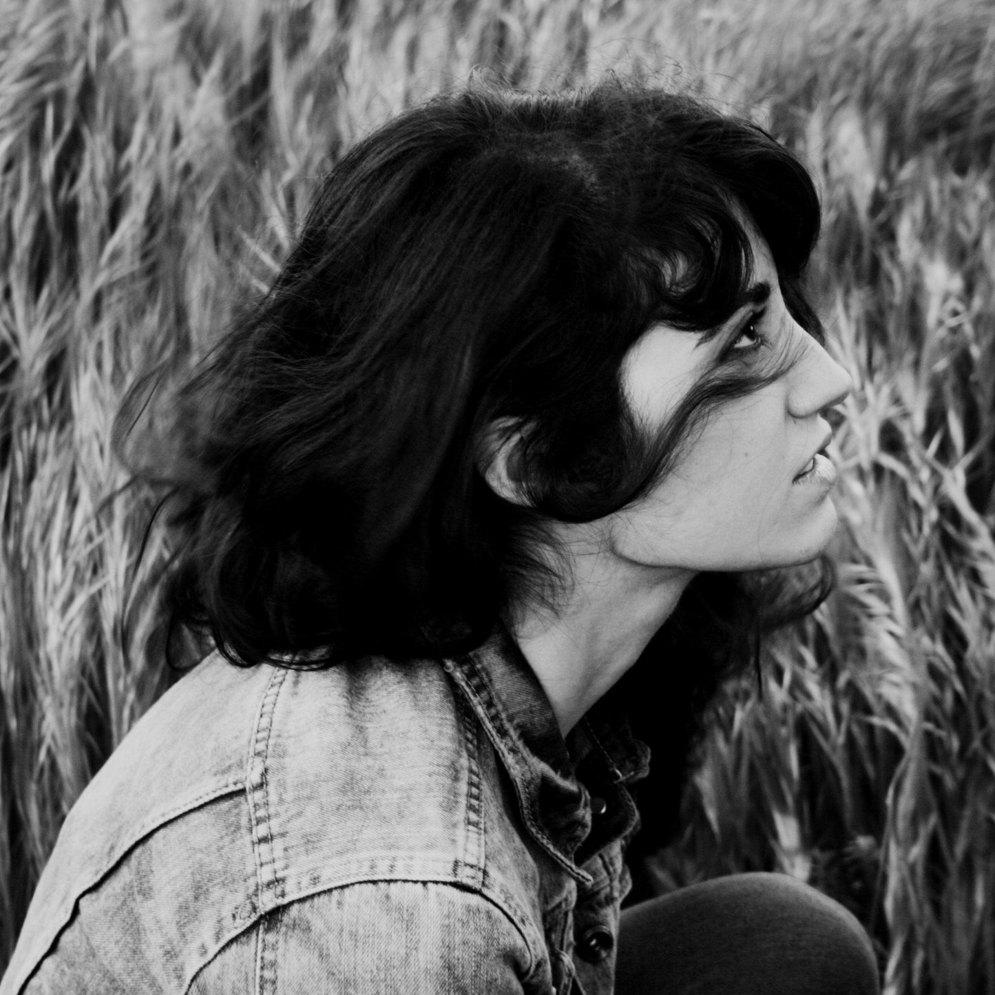 Stag Wilderness A4 Print - Drumgreenagh Craft & Design Store