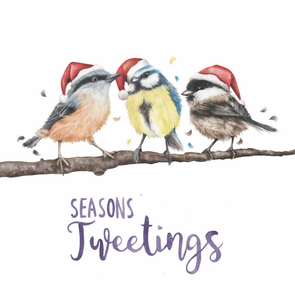 Birds Christmas Card
