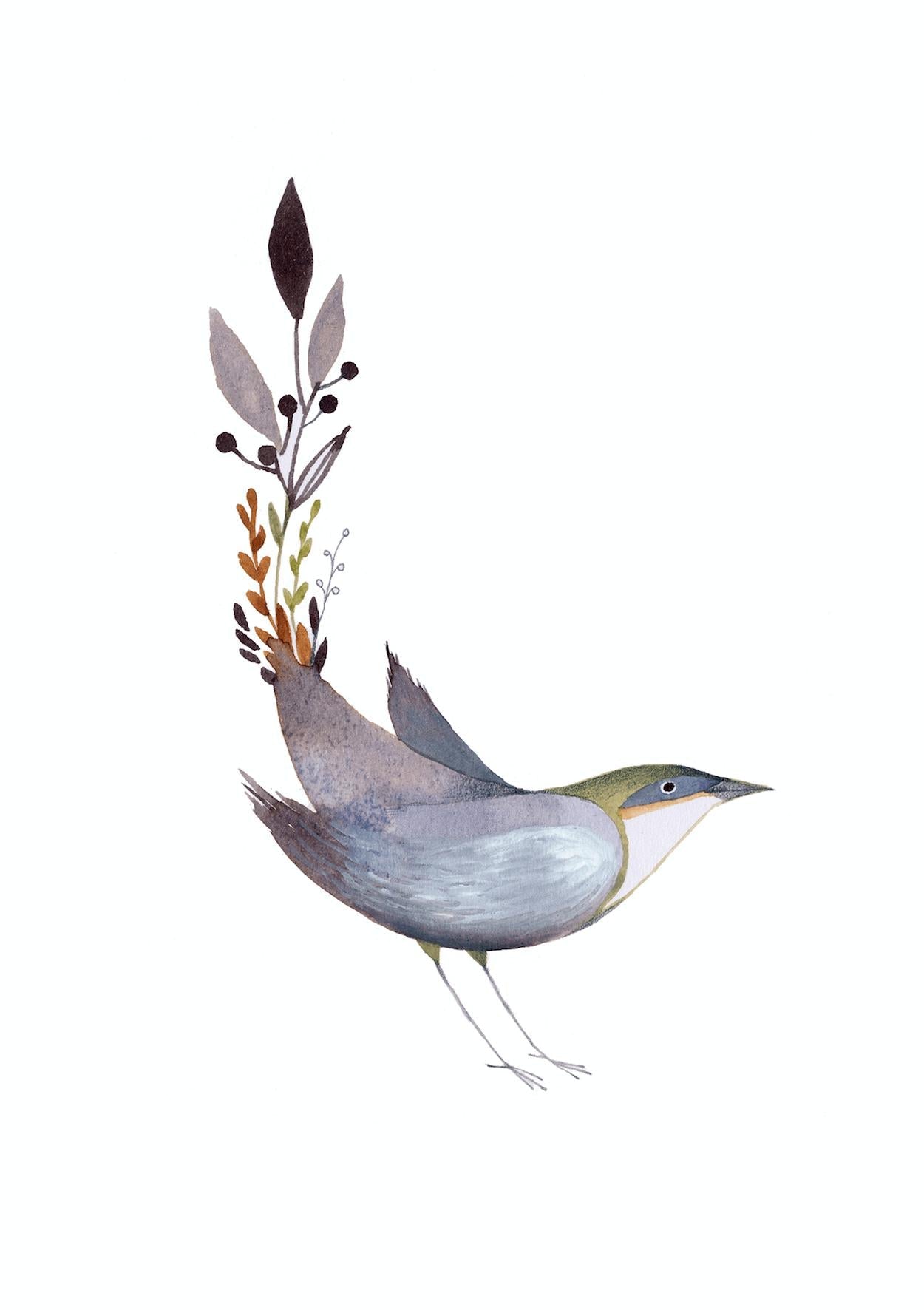 Leaf Tail Bird A4 Print