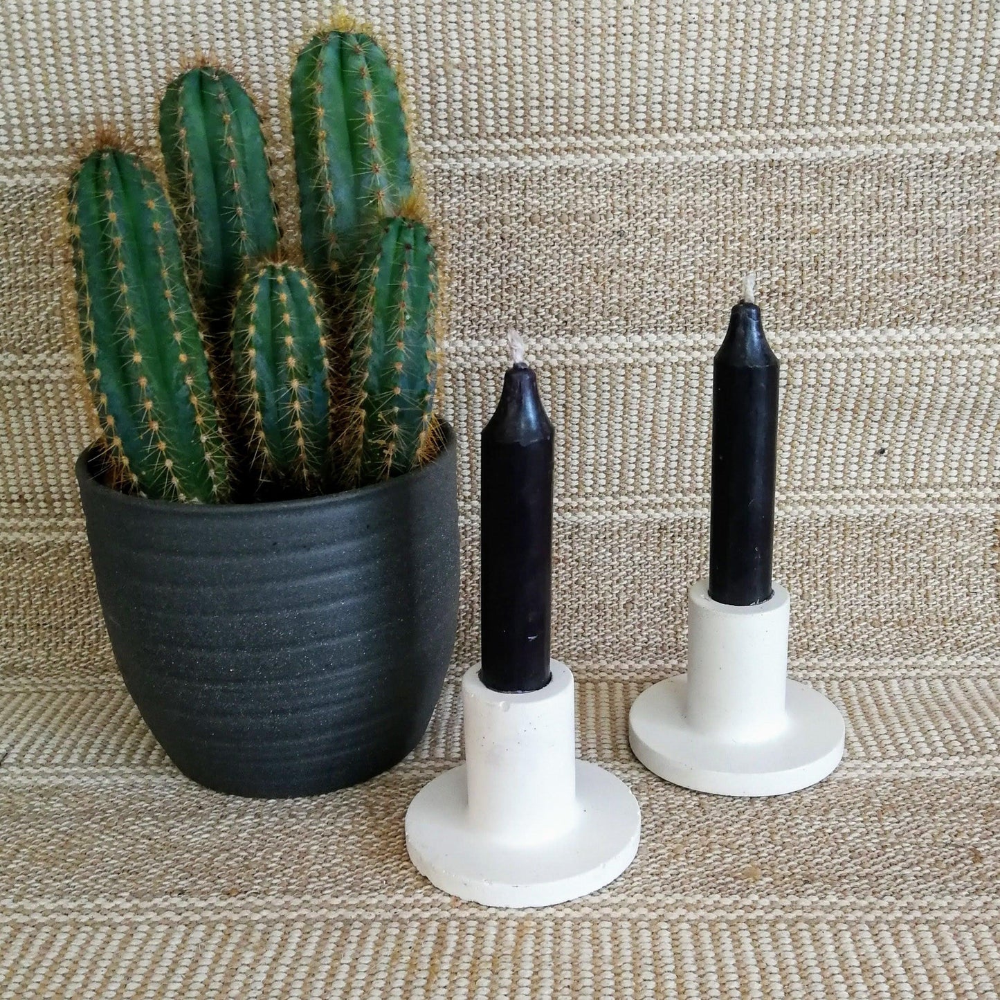 White Tapered Candle Holders with Cactus
